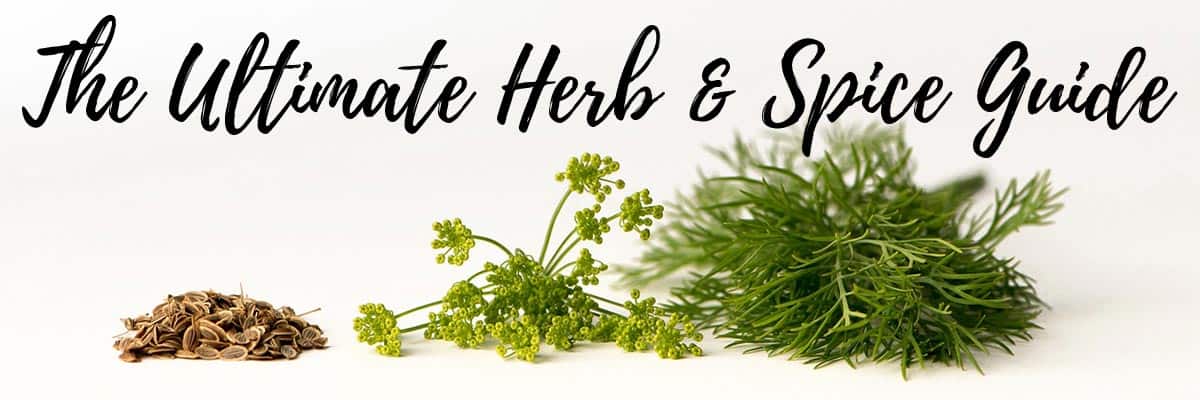 Header for Ultimate Herb & Spice Guide
