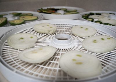4 dehydrator trays with raw vegetables