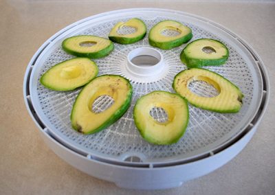 avocados on nesco dehydrator tray